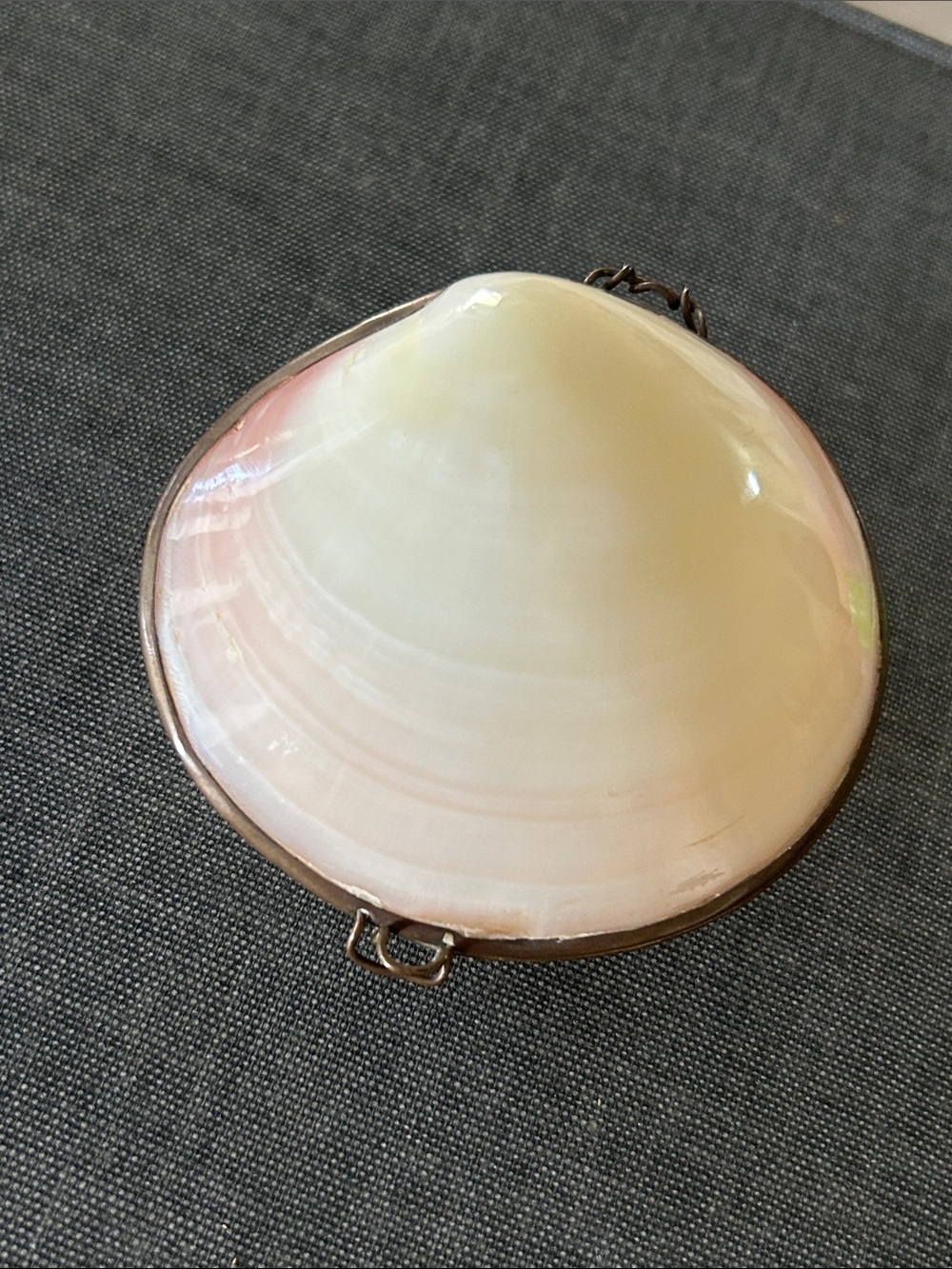 Vintage Natural Sea Shell Hinged Trinket Box